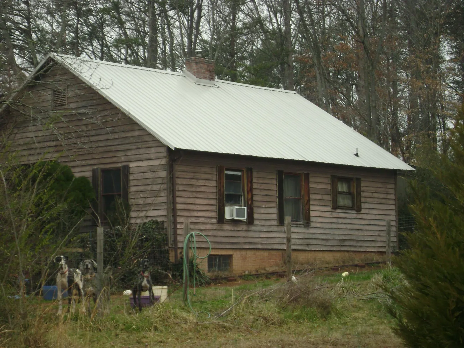 White metal roof on an old wood sided farmhouse, from a Asphalt Shingle Roof Repair job in Dyersville